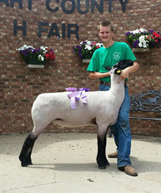 Sark Club Lambs Winners